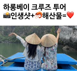 하롱베이크루즈