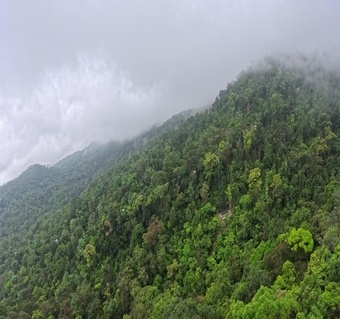 다낭 바나힐 놀이기구 완벽 가이드 | 알파인코스터·프렌치빌리지·자이언트스윙 총정리