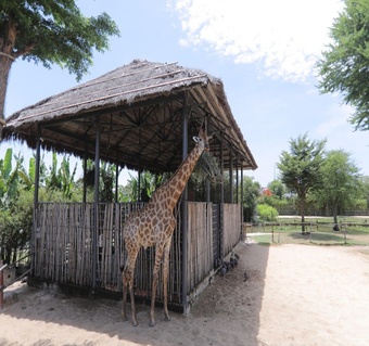 호이안 빈원더스 사진 명소 3곳과 가족여행 완벽 가이드